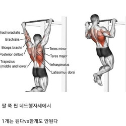 성인남성 턱걸이