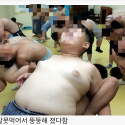 초딩때 비만이였던 애들 진짜 특징