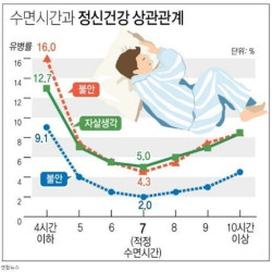 7시간 수면의 중요성