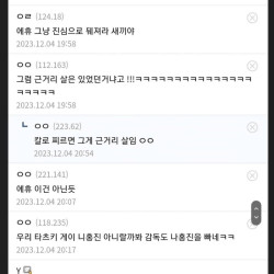 국뽕이라고 욕 처먹은 어느 디시인.