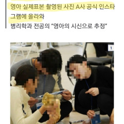 헬스 트레이너 대상 '프레시 카데바' 해부 강의 연 업체... 영아 시신도 썼나