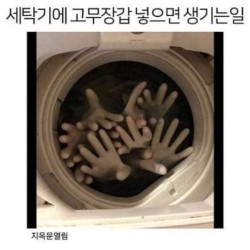 세탁기에 고무장갑 넣으면 생기는 일