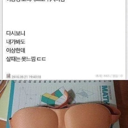 다이소 안대 ㄹㅈㄷ