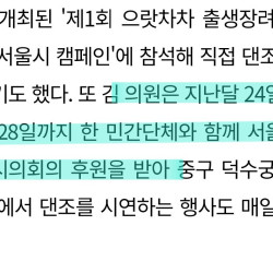 쪼이고 쪼이고 국민댄조에 들어간 서울시 예산