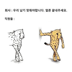 회사 : 납기 맞춰주세요