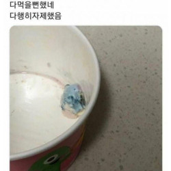 다행히 자제했음..