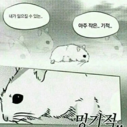 내가 일으킬 수 있는 아주 작은 기적..