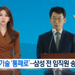 ‘기술유출’ 전 삼성전자 임직원 구속