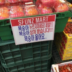 복숭아 울어요..