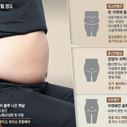 가장 위험한 뱃살