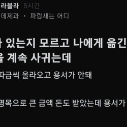 의사한테 팩트 폭행당한 블라녀