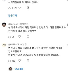 댓글 드립이 난무하는 남보라 유튜브 컨텐츠