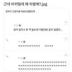 바퀴벌레 죽이는 이유