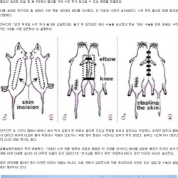 중국의 이상한 생체 연구.