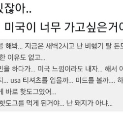 미국 가는 대신 생각해낸 것