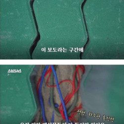 보도블럭을 매년 새로 까는 이유