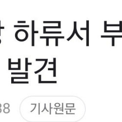 [속보] 낙동강 하류서 부패된 40대 男 추정 시신 발견