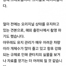 전설의 람보르기니 인증