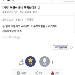 북한이 존나 똑똑한 이유