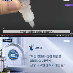 판결이 드라마틱한 대한민국 살인사건 甲