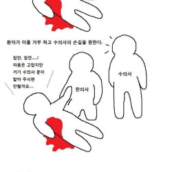 수의사의 딜레마