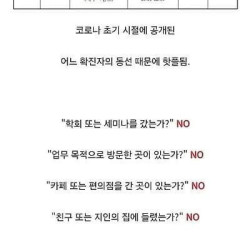 코로나 확진자가 유행시킨 맛집