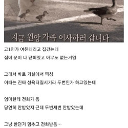 여친이랑 ㅅㅅ하다가 걸린 적 있음