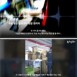 쿠팡 물류센터 현실