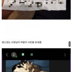 배달시켜먹다 겪은 귀여운 고양이 썰