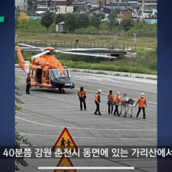 '약초인 줄 알았는데'...먹고 보니 정체 '경악'