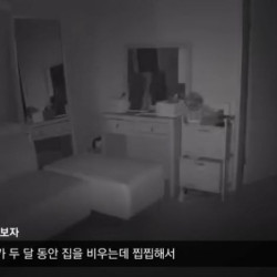 집 cctv 감지 떠서 확인했더니...