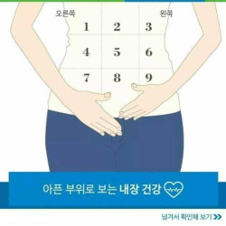 아픈부위로 보는 내장건강