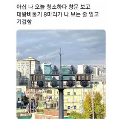 청소하다가 창문을 열었는데