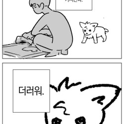 자기를 키우는 인간을 바라보는 댕댕이 시점....