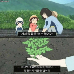 자막의 중요성