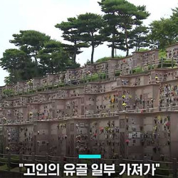 칭찬 받을 줄 알았다...사실혼 남편 유골 가져간 교수