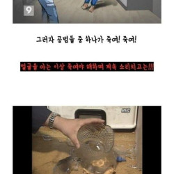 서라아파트 살인사건