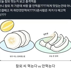 참외씨먹는다vs안먹는다