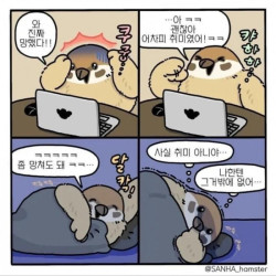 커뮤에서 이미지 망한 사람 특징 ㄷㄷㄷ..jpg