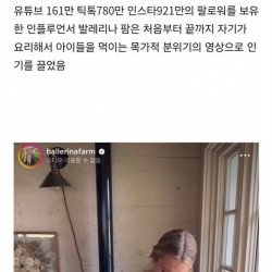 틱톡에서 논란중인 힐링유튜버의 진실