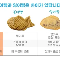 '붕어빵과 잉어빵'은 차이가 있답니다