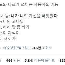 원래 의도와 다르게 쓰이는 자동차 기능