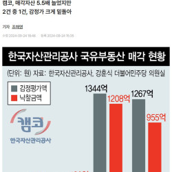 밑지고 파는 나라 땅 급증