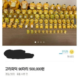 고라파덕 90마리가 당근마켓에 올라온 이유