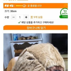 중국 쇼핑몰에서 주문한 인형