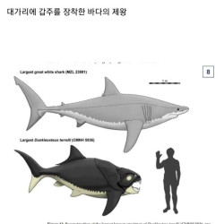 낭만이 사라져가는 고생물 복원도.jpg