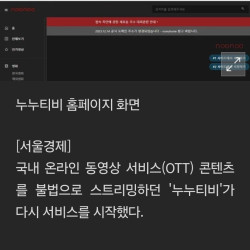 현재 ㅈ됐다는 OTT 시장 근황