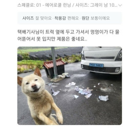 속옷 쇼핑 후기