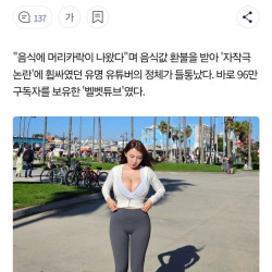 ㅇㅎ)음식점 머리카락 사기친 벨벳튜브 근황