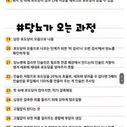 당뇨가 오는 충격적인 과정